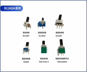 R11KGH系列